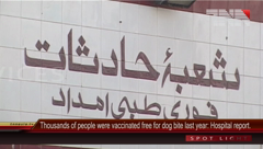 Karachi- More than 9 Thousand Patients Have Been Provided Free Vaccine of Dog Bite.
