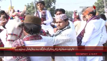 Naushahro Feroze- Sindhi Culture Day