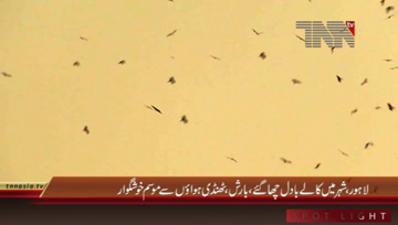 Lahore- Rain in City, Weather Pleasant