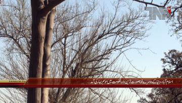 Islamabad- Spring Season arrived, Preparations

