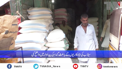 Flour Crisis started in Karachi, Price of flour per kg is feared to reach 150 rupees