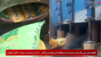 Drug Smuggling Foiled
