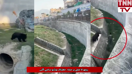 Bear Attacks Zoo Staff, Shocking Video Goes Viral

