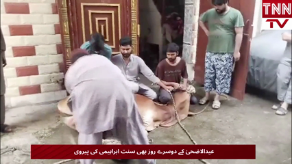 Eid-ul-Adha Celebrations Continue on Day 2 with Sacrifices, Feasts and Family Gatherings