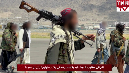 Four Terrorist Killed in North Waziristan IBO, Wanted Commander Among Dead