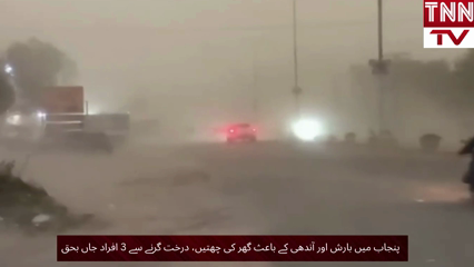 Three Killed, 24 Injured in Rain- and Storm-Related Incidents Across Punjab