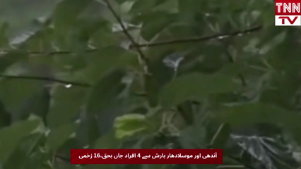 4 Killed, 16 Injured as Windstorm and Heavy Rain Hit Bannu, PDMA Issues Alert